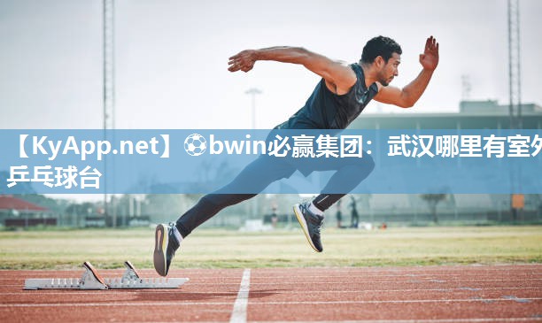 武汉哪里有室外乒乓球台