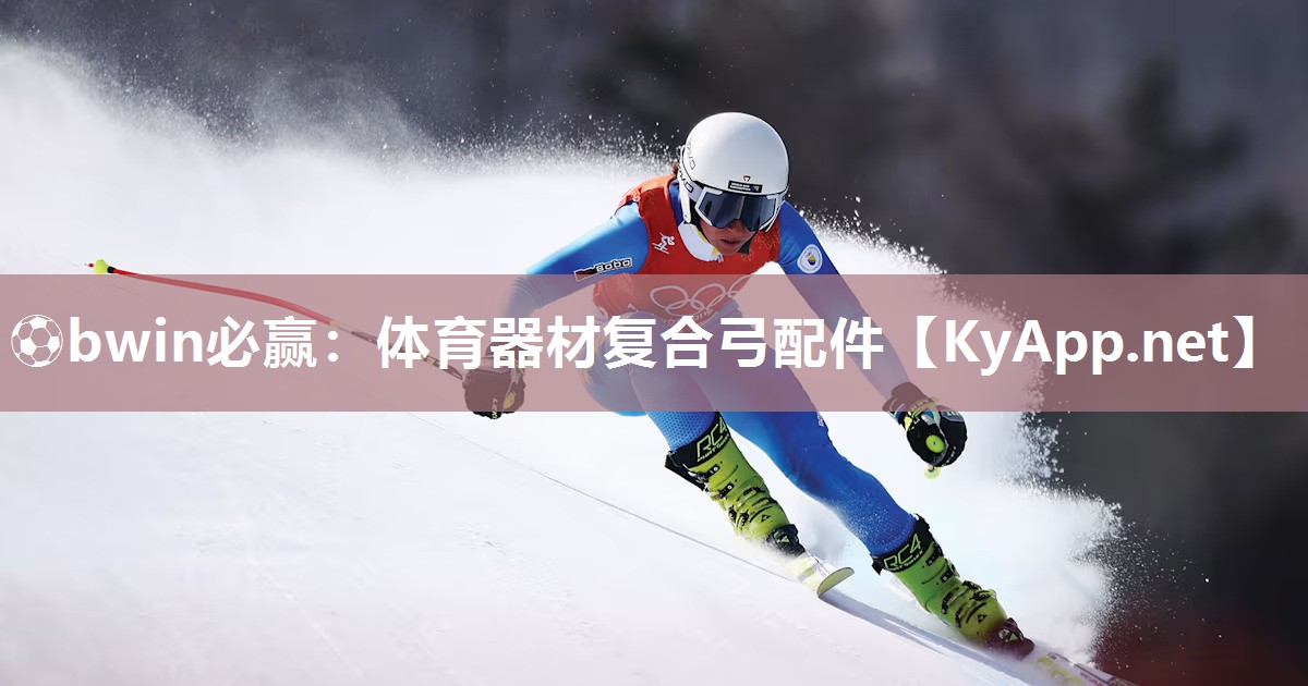 体育器材复合弓配件