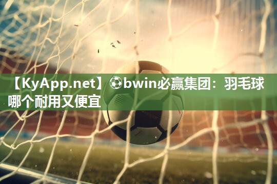 羽毛球哪个耐用又便宜